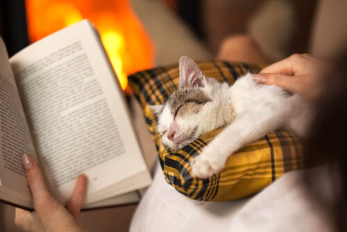 Knjige za ljubitelje mačaka - Ljubav prema knjigama i ovim krznenim ljubimcima je spojiva!