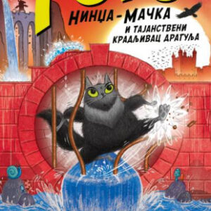 Toto nindža-mačka i tajanstveni kradljivac dragulja Dermot O'Liri