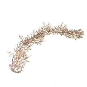 Sprig, novogodišnja grana, šampanjac, 150cm