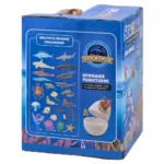 Sea egg, set figura, morski svet - Slika 2